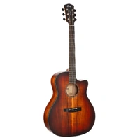 Cort CORE-GA All Solid Blackwood Acoustic Steel String Guitar